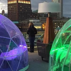 Meet your Posher, Carolyn